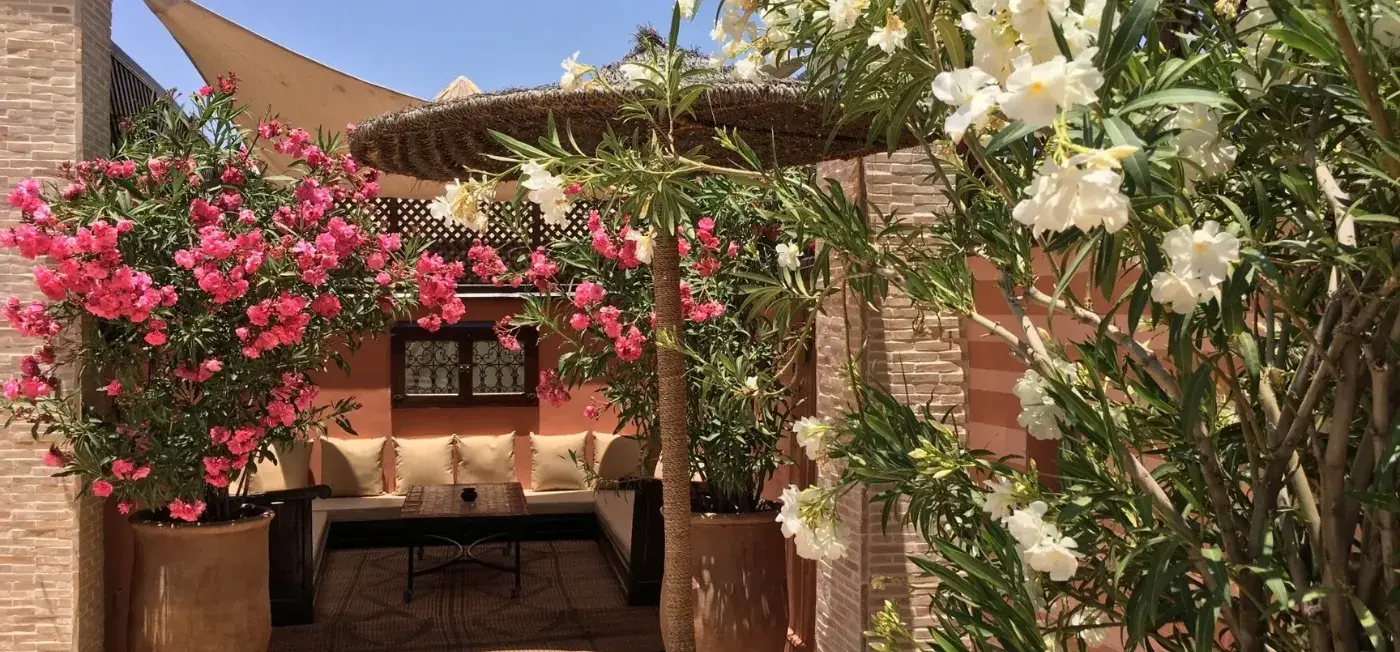 Riad Belle Epoque