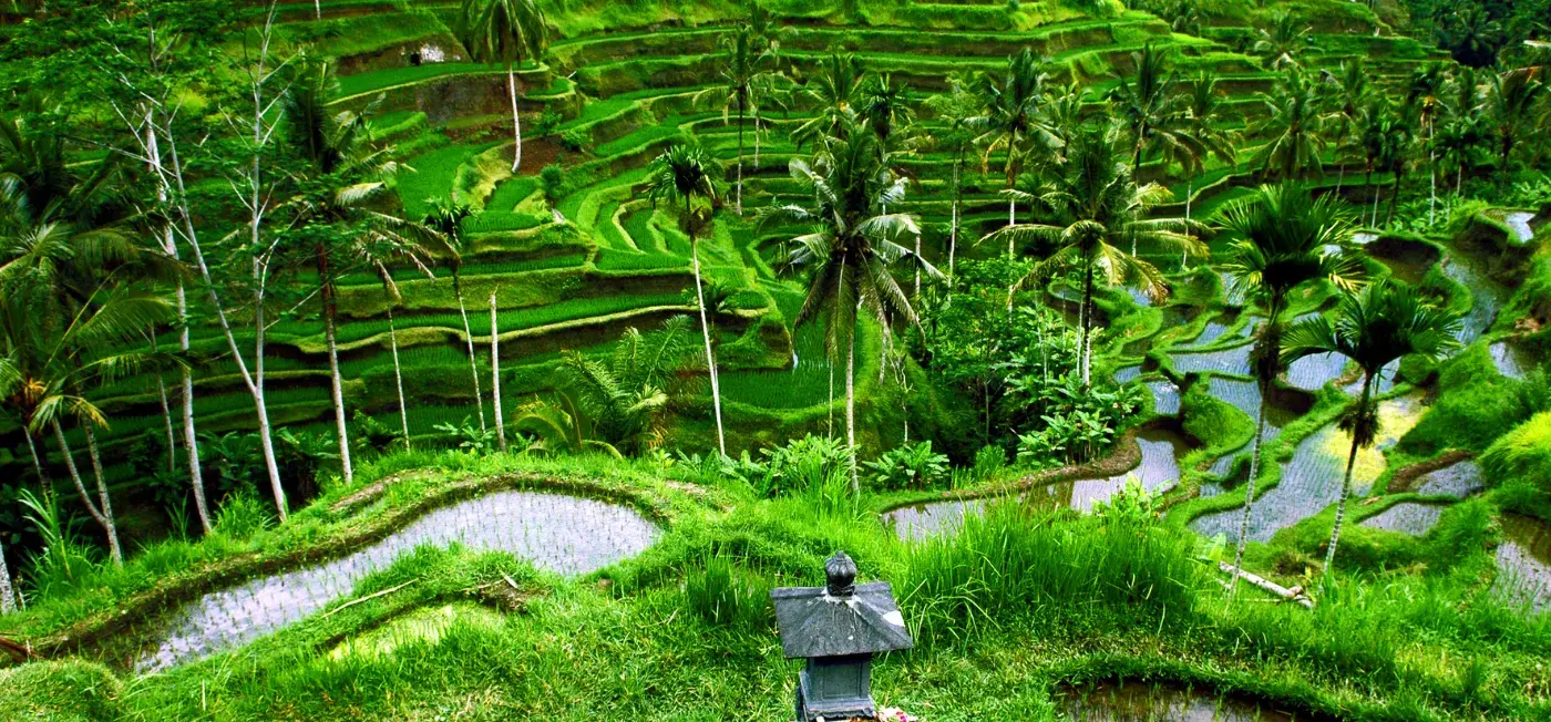 Alam Ubud Culture Villas & Residences